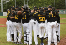 Baseball- und Softballverein Berlin Wizards e.V.